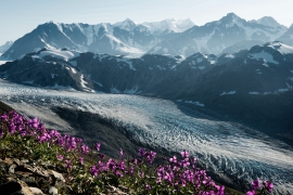 Ghiacciaio Reid nel Parco Nazionale di Glacier Bay. Sullo sfondo il monte Fairweather. Alaska