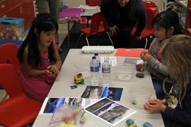 Progetto educational nel Golgo dell'Alaska